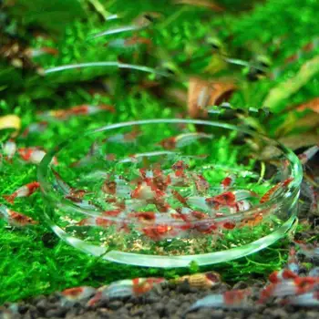 Jelo za hranjenje staklenom akvariju akvarij s kristalnim crvene trešnje kozicama Okrugli ulagač
