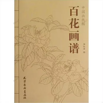 Kineski slika Linearna knjiga za crtanje olovkom u Boji Sto boja Božur Knjiga, bojanka za početnike s uzorkom navoja