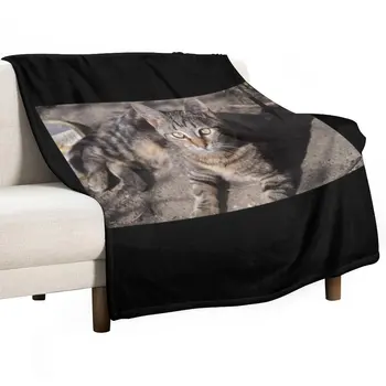 Novi slatka siva mačka pozira, portret veo, Luksuzno gust pokrivač, Prekrivač za kauč, pokrivači za sofe, luksuzno брендовое deka